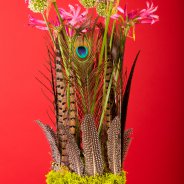 Autumn design with feathers - Pim van den Akker - Flower Factor
