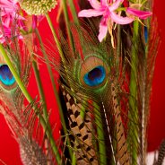 Autumn design with feathers - Pim van den Akker - Flower Factor
