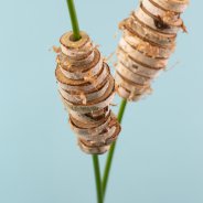 Feestelijk gedecoreerde snij Anthuriums - Flower Factor