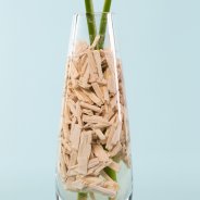 Feestelijk gedecoreerde snij Anthuriums - Flower Factor