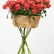 trosroos Grand Trendsetter® van Interplant Roses - design Pim van den Akker - foto Nils van Houts