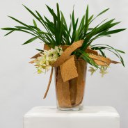Ice Cascade Cymbidium van LZ Orchidee -  design Pim van den Akker - foto Nils van Houts