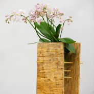 Phalaenopsis van Opti-flor - design Pim van den Akker - foto Nils van Houts