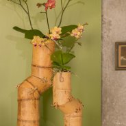Orchids in Urban Jungle style by Pim van den Akker