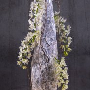 Cybidium 'Ice Cascade' arrangement - LZ Orchidee - Flower Factor