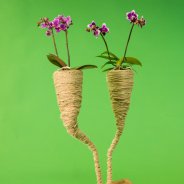 origineel orchidee arrangement door Pim van den Akker