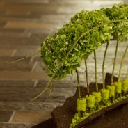 funeral flower arrangement with classic Hydrangea - Pim van den Akker - Flower Factor