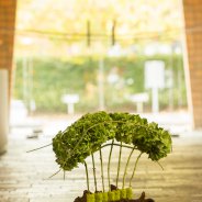 funeral flower arrangement with classic Hydrangea - Pim van den Akker - Flower Factor