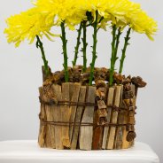 Magnum Yellow van Deliflor - design Pim van den Akker - foto Nils van Houts