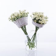 Proscini design Pim van den Akker totaal