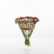 Kleurrijk Chrysant 'Doria' boeket