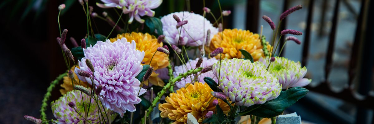Rossano chrysanten op een voetstuk