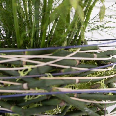 Charmant wit en paars Freesia boeket