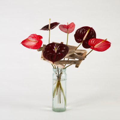 Snij-Anthuriums in houten frame