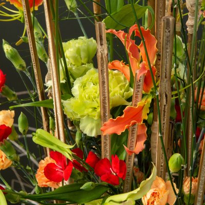 Fresh carnation arrangement