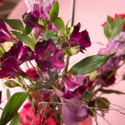 Plukboeket met Alstroemeria