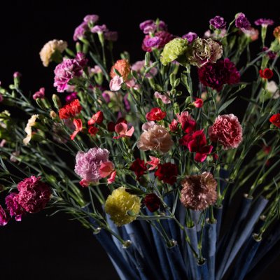 Dianthus hand-tied bouquet 2.0 