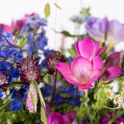 Freestyle Freesia veldboeket