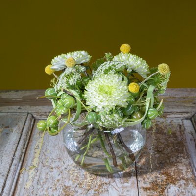 Een frame van Diplocyclos