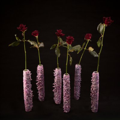 Black Baccara for Christmas