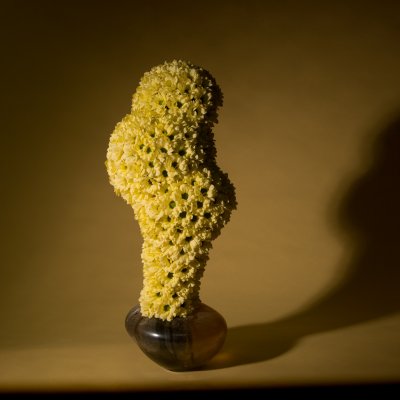 Organische vormen en florale schatten