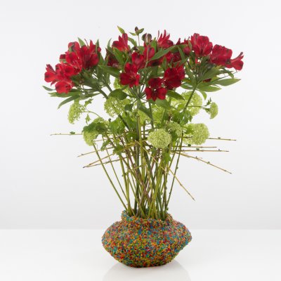 Kleurrijk Alstroemeria design