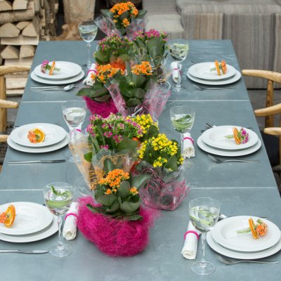 Colourful table decoration with Kalanchoe