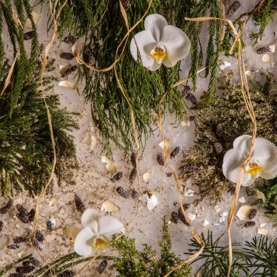 Festive Christmas decoration with branches