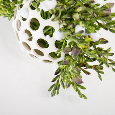 Kleurrijke Freesia bol