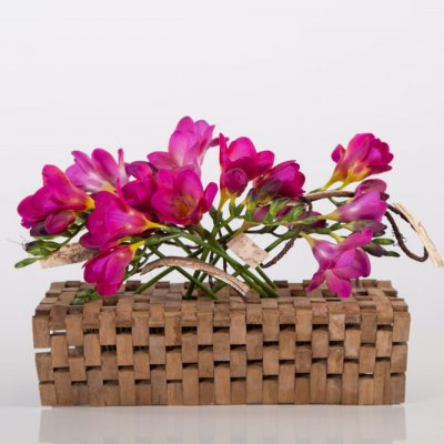 Felroze Freesia arrangement