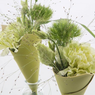 Fresh green bouquet with Dianthus