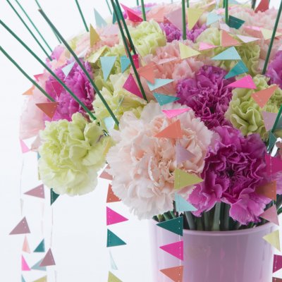 Festive carnations
