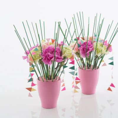 Vrolijk boeket met Anjers