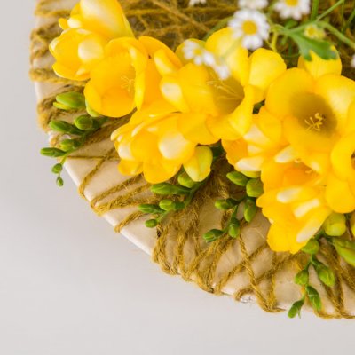 #FreestyleFreesia: a Freesia-filled garden