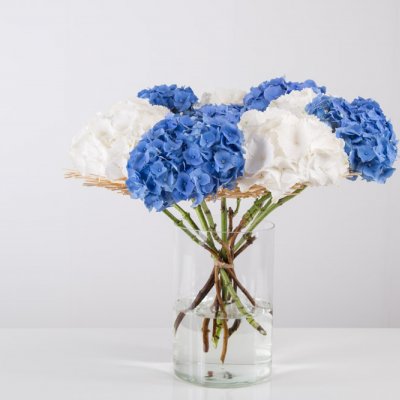 Frame bouquet with Hydrangea