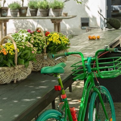 Manden vol Kalanchoe