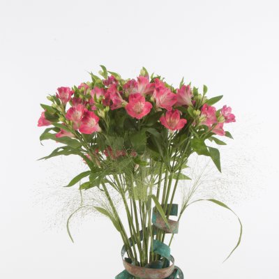 Vrolijk koperen Alstroemeria arrangement