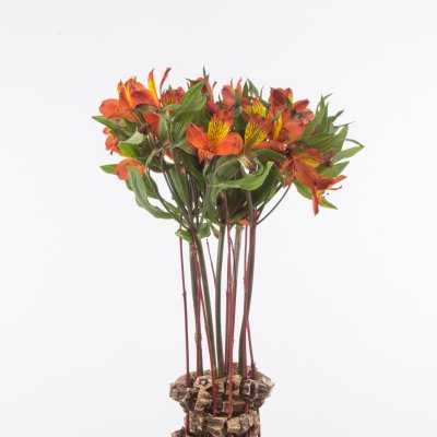 Herfstig Alstroemeria arrangement