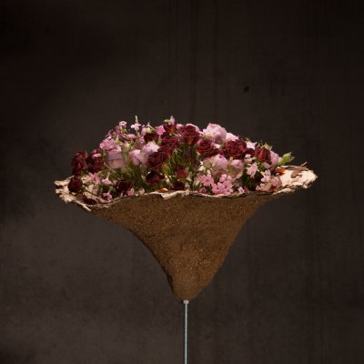 Verrassende trosrozen