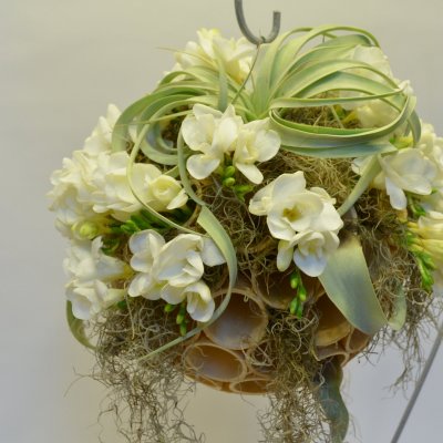 IJshoorntjes met witte Freesia