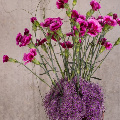 Trendy Dianthus vase design