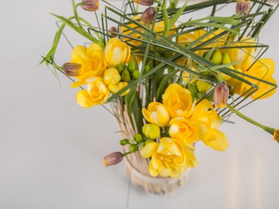 Freesia in hoogstaand gras