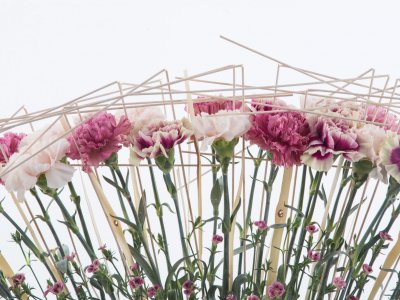 Boat with Dianthus