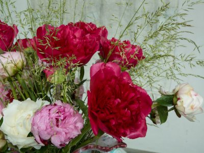 Pioenen in Italiaanse vaas