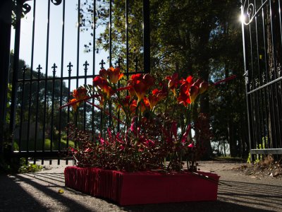 Afscheidsbloemwerk in liefdevol rood