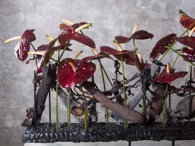 Spannend bloemwerk met Black Queen Anthurium