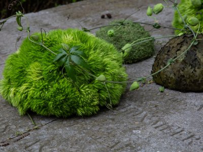 Sereen en natuurlijk rouwwerk met Green Trick