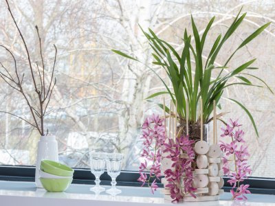 Cascade Cymbidium Anisa en hout