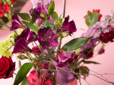 Plukboeket met Alstroemeria