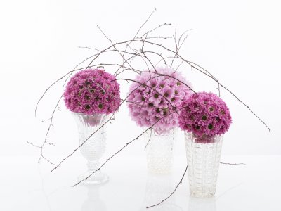 Bollen vol Prada Sweet en Softone